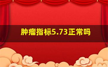 肿瘤指标5.73正常吗