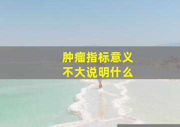 肿瘤指标意义不大说明什么