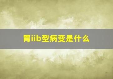 胃iib型病变是什么