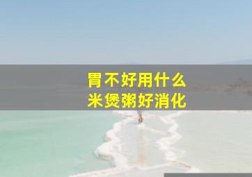 胃不好用什么米煲粥好消化