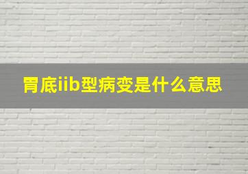 胃底iib型病变是什么意思