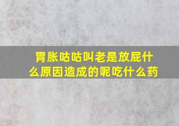 胃胀咕咕叫老是放屁什么原因造成的呢吃什么药