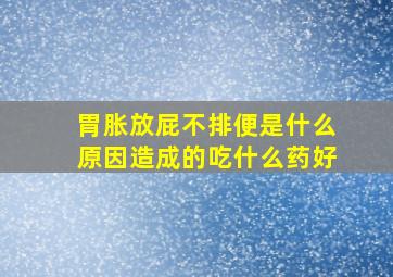 胃胀放屁不排便是什么原因造成的吃什么药好