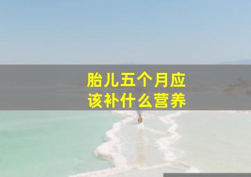 胎儿五个月应该补什么营养