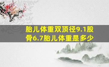 胎儿体重双顶径9.1股骨6.7胎儿体重是多少