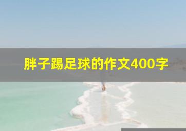 胖子踢足球的作文400字