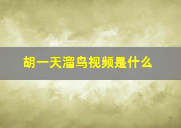 胡一天溜鸟视频是什么