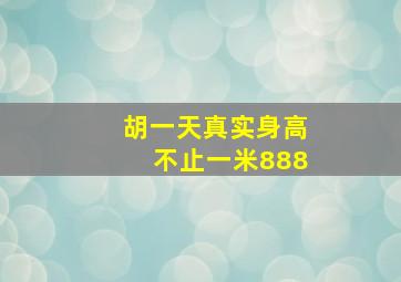 胡一天真实身高不止一米888