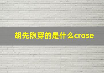 胡先煦穿的是什么crose