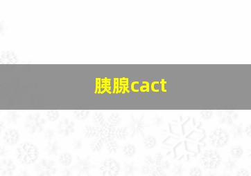 胰腺cact