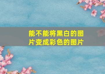 能不能将黑白的图片变成彩色的图片