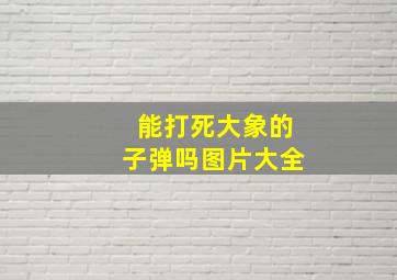 能打死大象的子弹吗图片大全