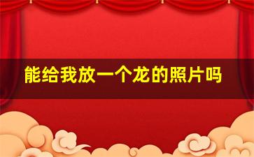 能给我放一个龙的照片吗