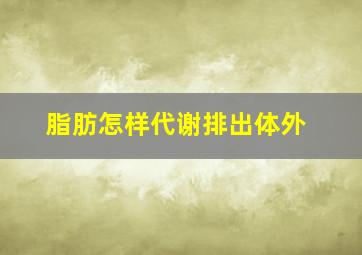 脂肪怎样代谢排出体外