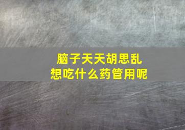 脑子天天胡思乱想吃什么药管用呢