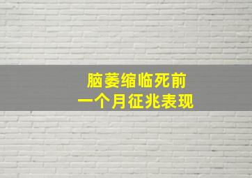 脑萎缩临死前一个月征兆表现