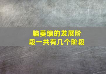 脑萎缩的发展阶段一共有几个阶段