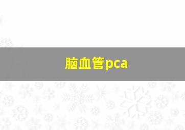 脑血管pca