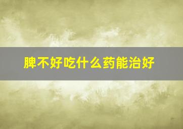 脾不好吃什么药能治好