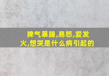 脾气暴躁,易怒,爱发火,想哭是什么病引起的