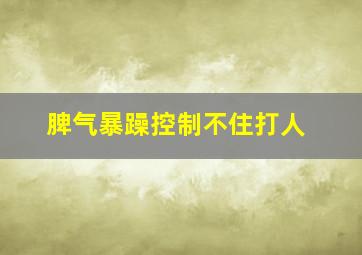 脾气暴躁控制不住打人