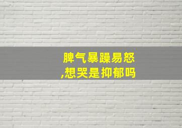 脾气暴躁易怒,想哭是抑郁吗