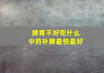 脾胃不好吃什么中药补脾最快最好