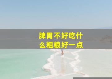 脾胃不好吃什么粗粮好一点