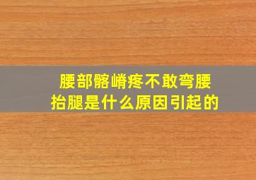 腰部髂嵴疼不敢弯腰抬腿是什么原因引起的