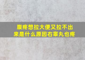 腹疼想拉大便又拉不出来是什么原因右睾丸也疼