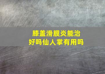 膝盖滑膜炎能治好吗仙人掌有用吗