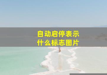 自动启停表示什么标志图片