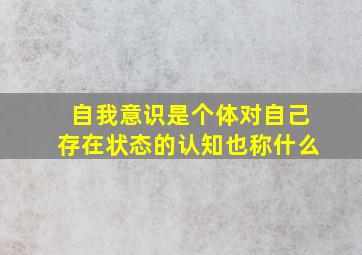 自我意识是个体对自己存在状态的认知也称什么