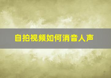 自拍视频如何消音人声