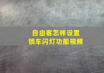 自由客怎样设置锁车闪灯功能视频