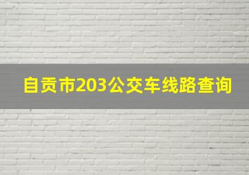 自贡市203公交车线路查询