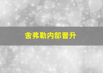 舍弗勒内部晋升