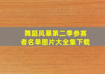 舞蹈风暴第二季参赛者名单图片大全集下载