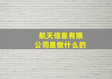 航天信息有限公司是做什么的