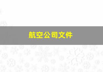 航空公司文件