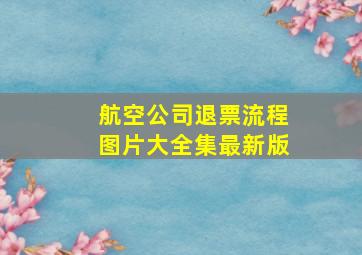 航空公司退票流程图片大全集最新版