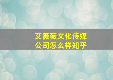 艾薇薇文化传媒公司怎么样知乎