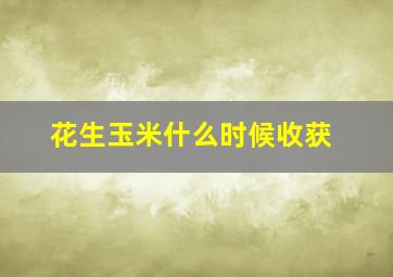 花生玉米什么时候收获