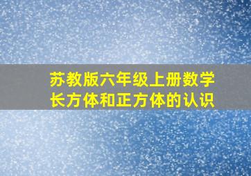 苏教版六年级上册数学长方体和正方体的认识