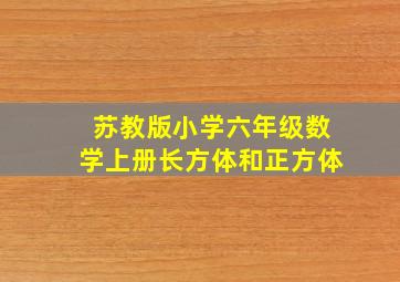 苏教版小学六年级数学上册长方体和正方体