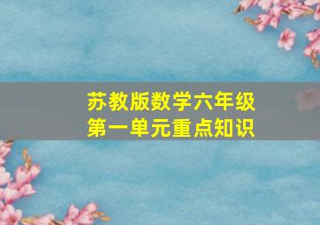 苏教版数学六年级第一单元重点知识