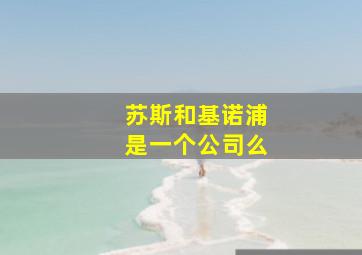 苏斯和基诺浦是一个公司么