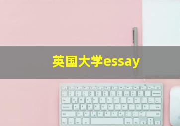 英国大学essay