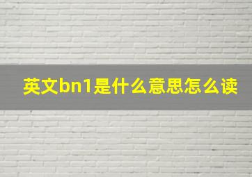 英文bn1是什么意思怎么读