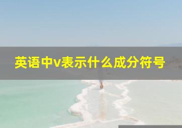 英语中v表示什么成分符号